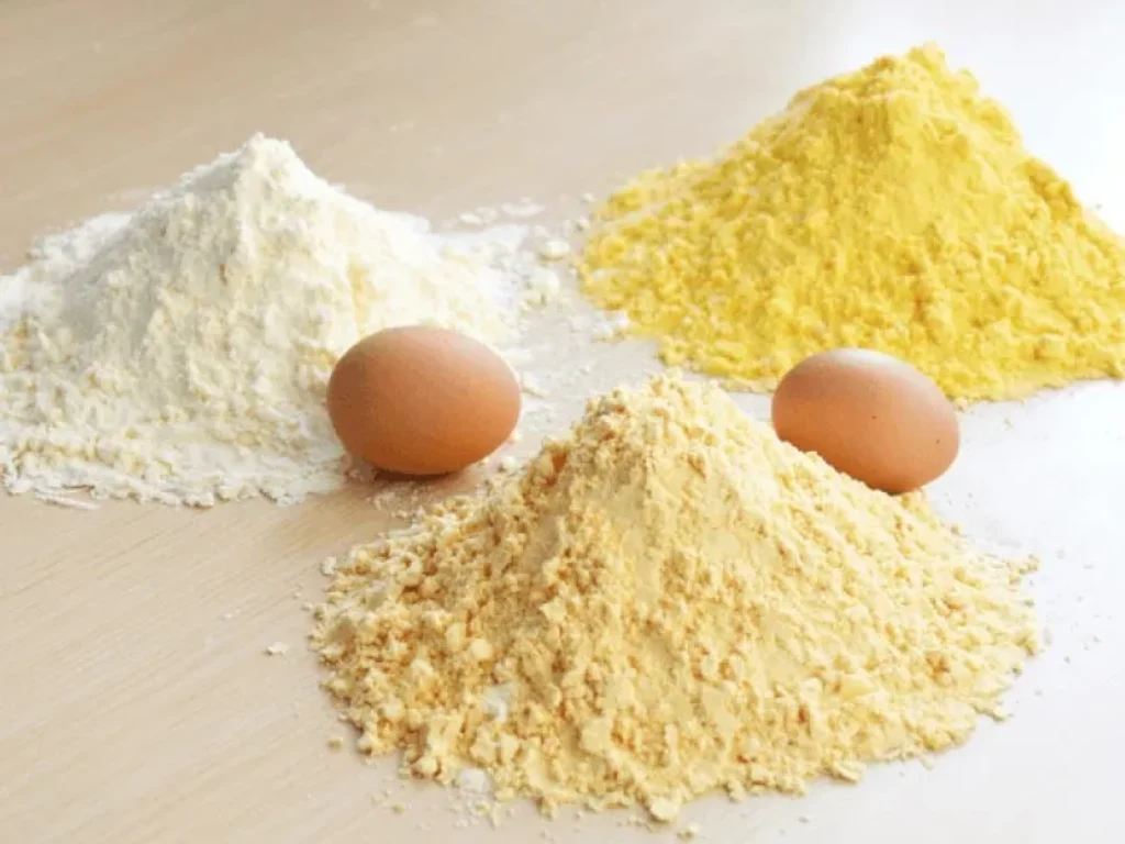 Verschiedene Egg White Protein Powder Dosen im Vergleich.